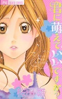 Kimi ni Moete Ii Desu ka